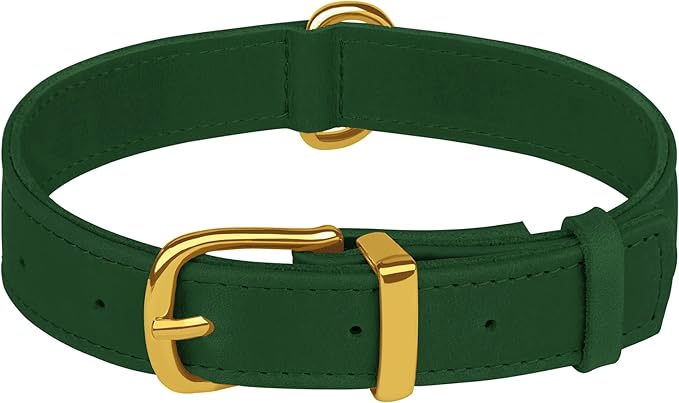 Leather Dog Collar - Heavy Duty Adjustable Soft Padded Pet Collars for Small Medium Large Dogs Breed - Black Green Brown Pink Red Blue (Green, S, 9"-12" Neck Fit)