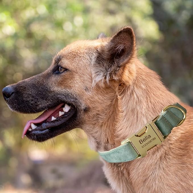 Dog Collar Custom Personalized Engraved Name and Phone Number for Puppy Small Medium Large Pets (XL, Fruit Green)