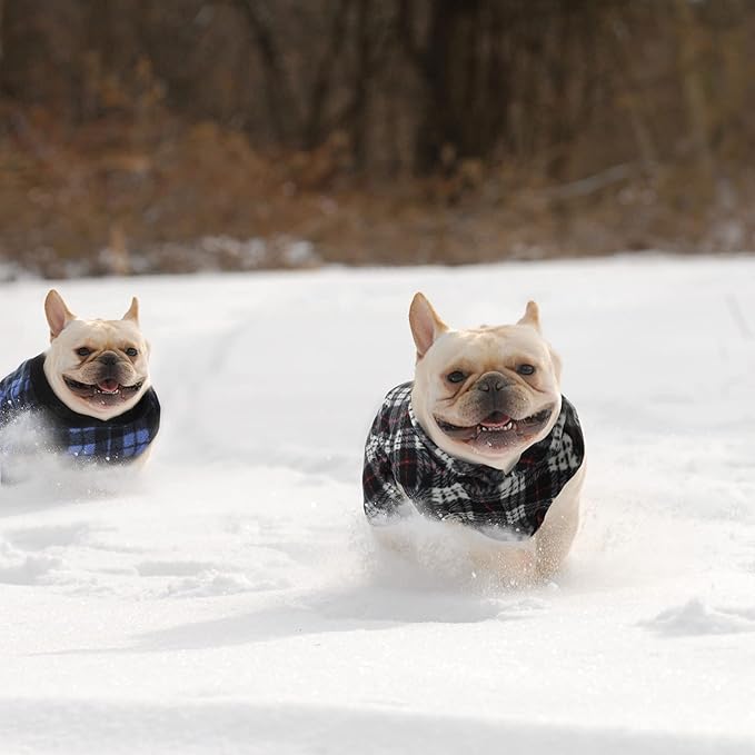 Weewooday 4 Pieces Winter Fabric Dog Sweaters with Leash Ring Soft Fleece Vest Pullover Pet Jacket Warm Dog Clothes Coats for Pet Puppy Cats Chihuahua(L(Neck:13.8-15” Chest:18.9-19.7”))