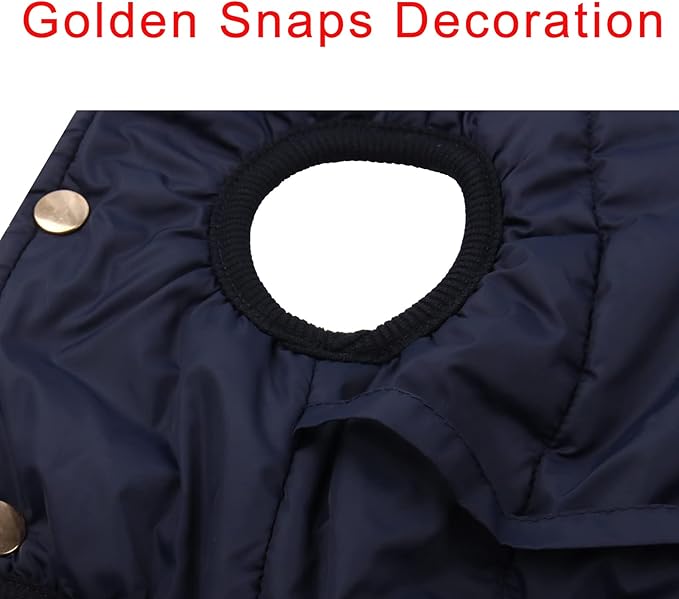 Fleece Lined Warm Dog Jacket for Puppy Winter Cold Weather,Soft Windproof Small Dog Coat,Blue S