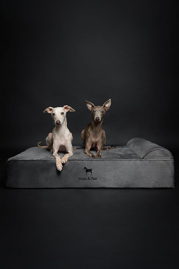 NOAH & PAW Large Dog Bed, 35x25x8.7 Inch, Orthopedic Dog Beds, Eggshell Memory Foam Infused with Cooling Gel, Waterproof, Machine Washable, Includes Inner Cover (Velvet Collection)