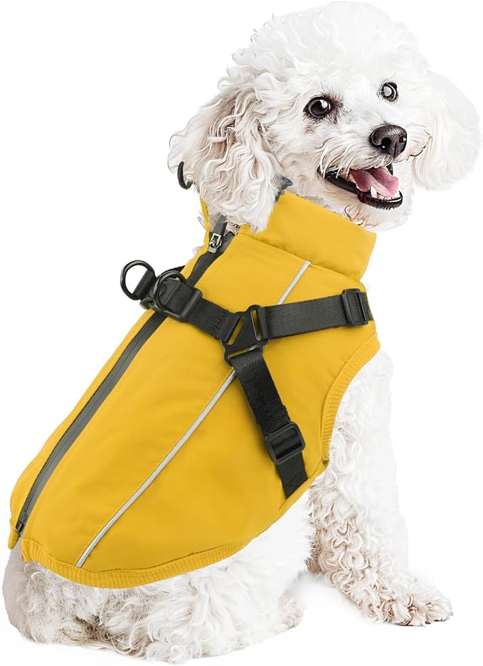 Dog Winter Coat Reflective Water-Resistant Jacket, Fleece Lined Windproof Puppy Coat with Back Zipper & D-Ring, Cold Weather Dog Coats for Small Medium Large Dogs (M, Orange)