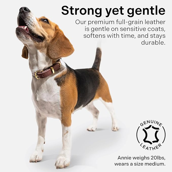 Classic Genuine Leather Dog Collar | Dog Collars for Medium Dogs, Small Dogs, Large Dogs & Extra Large Dog | Wide Dog Collar | Heavy Duty Dog Collar | Dark Brown (L: 1.2" Wide for 16"-18.5" Neck)