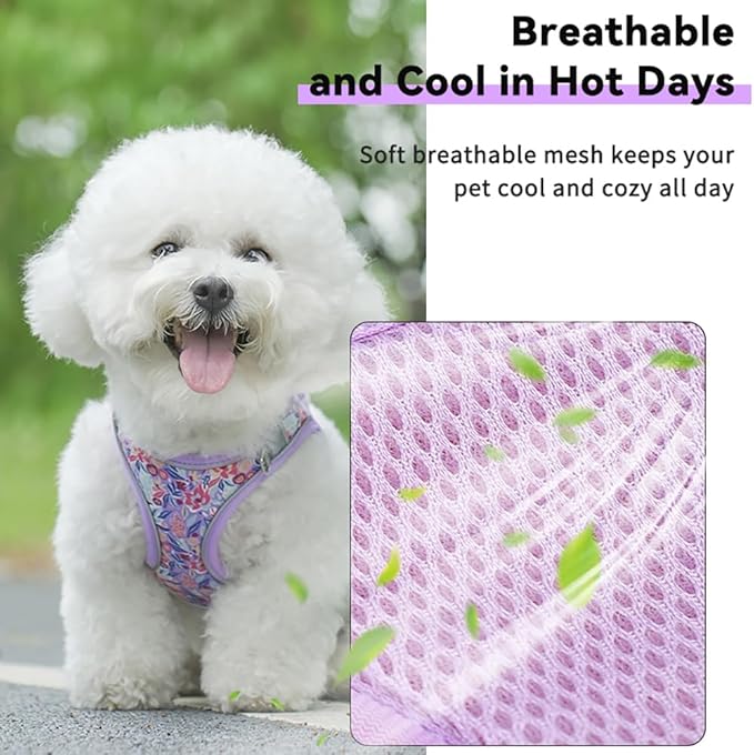 Step in Dog Harness and Leash Set, Flower Adjustable Easy Walk Puppy Harnesses, Soft Mesh Pet Vest Harness Small Size Dog Adjustable No Pull Dog Harness for Small Dogs and Cats(Light Purple, XXS)