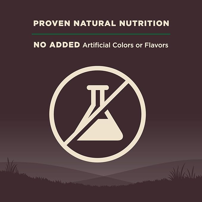 Wellness CORE Dry Dog Food, Grain Free, High Protein, Natural, Lamb Recipe, (22-Pound Bag)