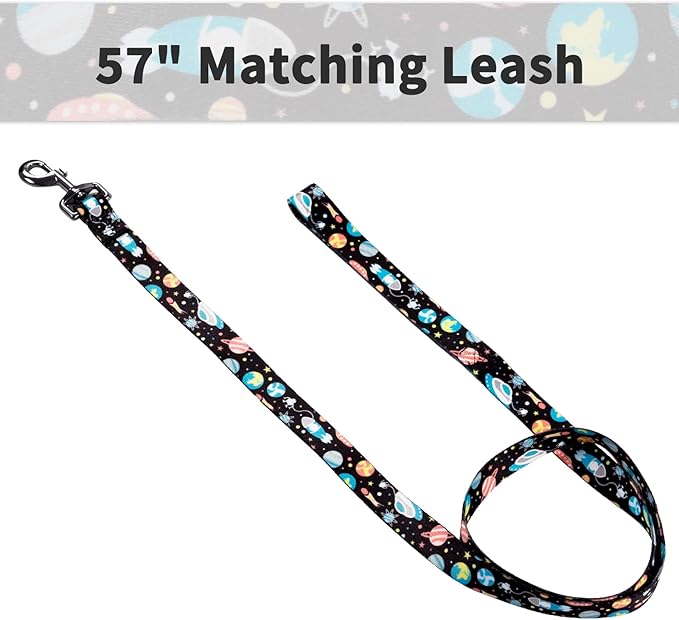 Ihoming Puppy Collar and Leash Set for Daily Outdoor Walking Running Training, Space Design for Extra Small Boys Girls Dogs Cats Pets, XS-Up to 10LBS