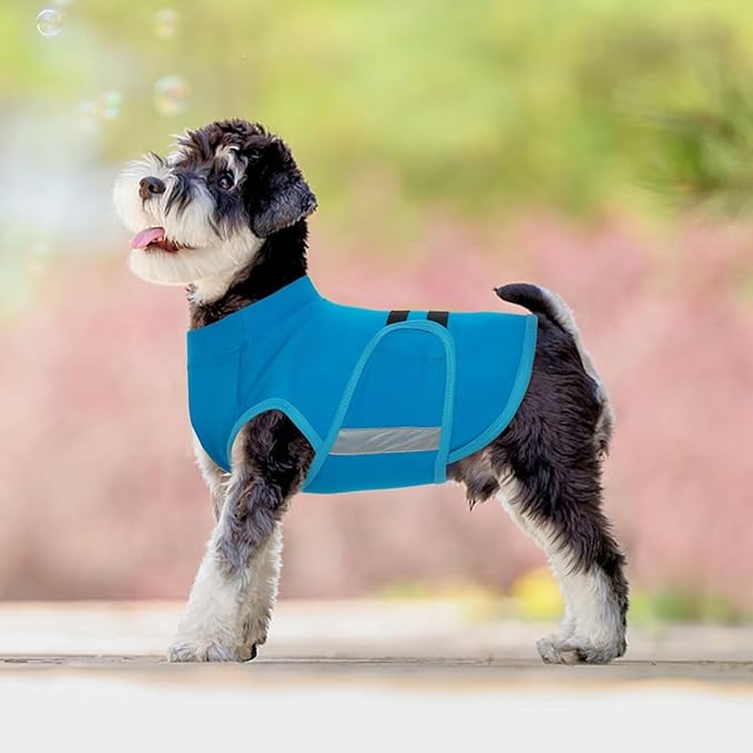 MIGOHI Dog Anxiety Relief Coat,Comfort Anxiety Vest for Dogs,Adjustable Dog Anxiety Calming Wrap for Fireworks,Thunderstorm,Travel,Separation,Anxiety Jacket for Small Dogs,S,Blue