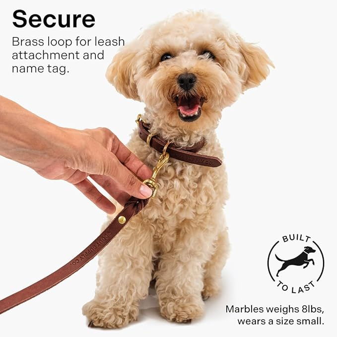 Classic Genuine Leather Dog Collar | Dog Collars for Medium Dogs, Small Dogs, Large Dogs & Extra Large Dog | Wide Dog Collar | Heavy Duty Dog Collar | Dark Brown (L: 1.2" Wide for 16"-18.5" Neck)
