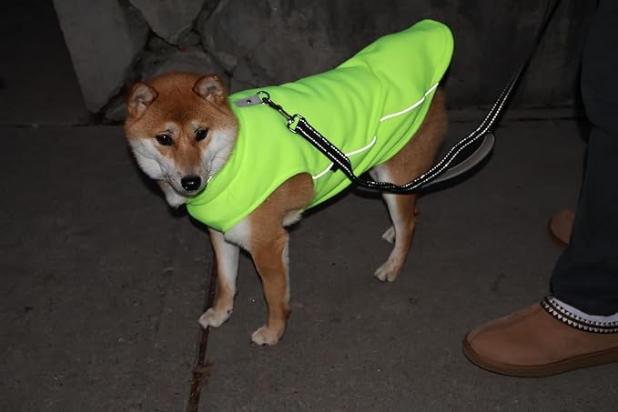 JACKO & CO - Fleece Vest Dog Sweater with Leash Ring - Soft, Warm & Lightweight Pullover Coat for Small & Medium Dogs, Puppies & Cats - Cozy Fall/Winter/Spring Pet Jacket (Lime Green, Large 10-16lbs)
