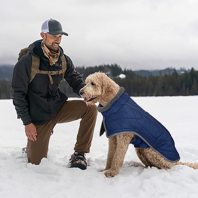 Fragralley Dog Coat Large, Waterproof Dog Jacket with Warm Fleece Lining, Adjustable Reflective Dogs Winter Coat, Turtleneck Pet Coats for Cold Weather (Blue XXXL)