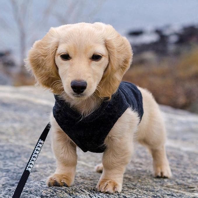 Gooby Fleece Vest Dog Sweater - Black, X-Small - Warm Pullover Fleece Dog Jacket with O-Ring Leash for Small to Medium Dogs