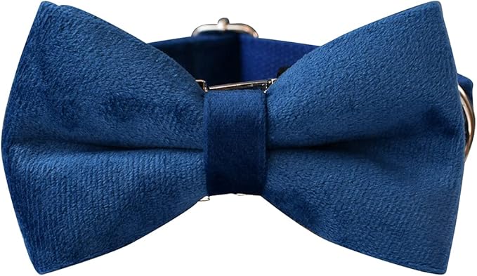 Dog Collar Custom Personalized Engraved Name and Phone Number for Puppy Small Medium Large Pets (S, Blue)