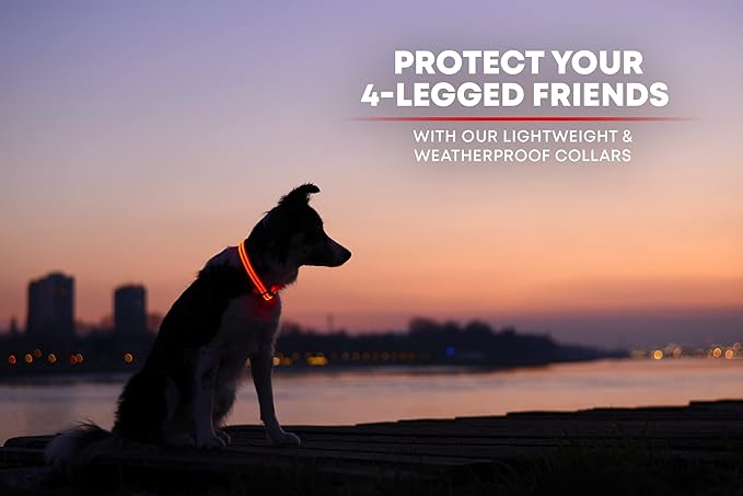 Illumiseen LED Dog Collar USB Rechargeable - Bright & High Visibility Lighted Glow Collar for Pet Night Walking - Weatherproof, in 6 Colors & 6 Sizes (Red X-Large)