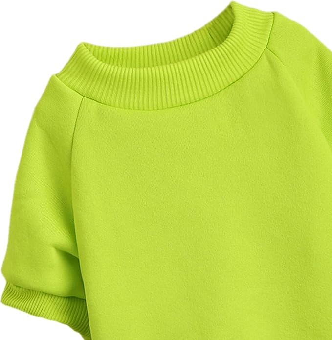 Puppy Sweater for Small Dogs Clothes Warm Winter Cat Clothe Pet Sweatshirt Knitwear Doggie Kitten Clothing, Light Green, Large