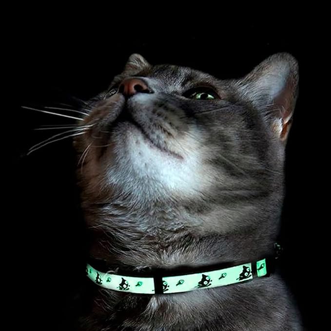 Pawtitas Pet Glow In The Dark Cat Collar with Safety Buckle and Bell Green Hook