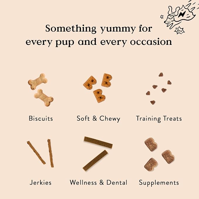 Bocce's Bakery Phantom Feast All-Natural Soft & Chewy Halloween Dog Treats - Wheat-Free Everyday Cookies for Dogs, Made with Real Ingredients & Baked in The USA - Chicken & Pumpkin Flavored (6 oz Bag)