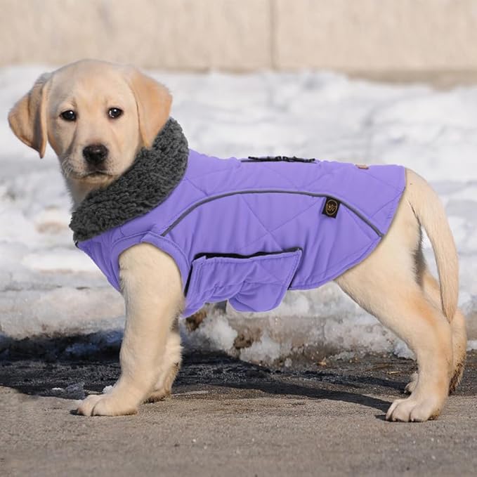 EMUST Winter Dog Coats - Fleece Dog Jacket for Cold Weather, Windproof & Warm, British Style, Purple, XS