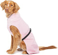Goldpaw Rainpaw Waterproof Dog Raincoat - Durable Dog Rain Jacket for All Seasons - Easy to Wear, Adjustable, Premium Pet Outerwear - Made in The USA - Machine Washable - Pink - Size 10