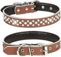 Rhinestones Dog Collar, Adjustable Sparkly Crystal Studded Genuine Leather Pet Dog Collar for Small and Medium Dogs (M, Brown)