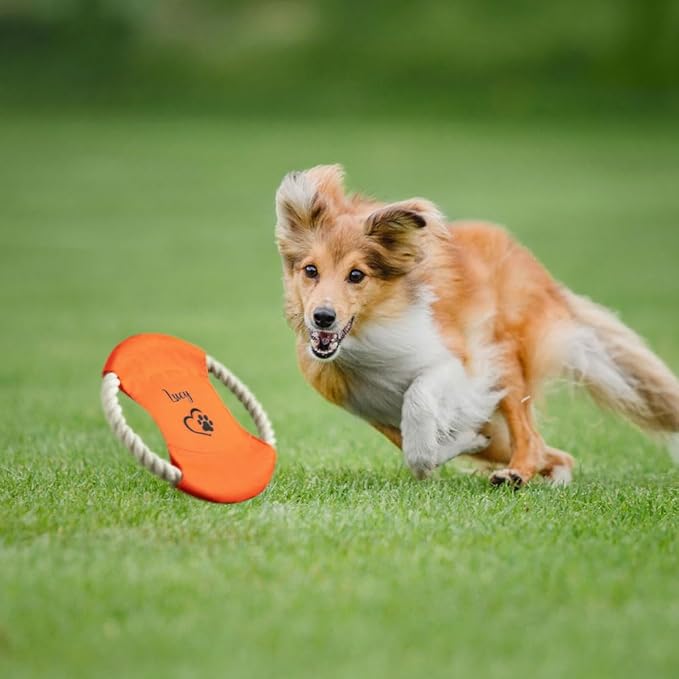Personalized Flying Disk Dog Toy Multicolor | Custom Name Cartoon Pet Toys | Dog Toys for Large Dogs