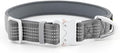 Plutus Pet Reflective Dog Collar with Aviation Aluminum Buckle, Neoprene Padded for Comfort, Lightweight, Heavy Duty Nylon Collar for Puppy Small Medium Large Dogs (Gray, S)