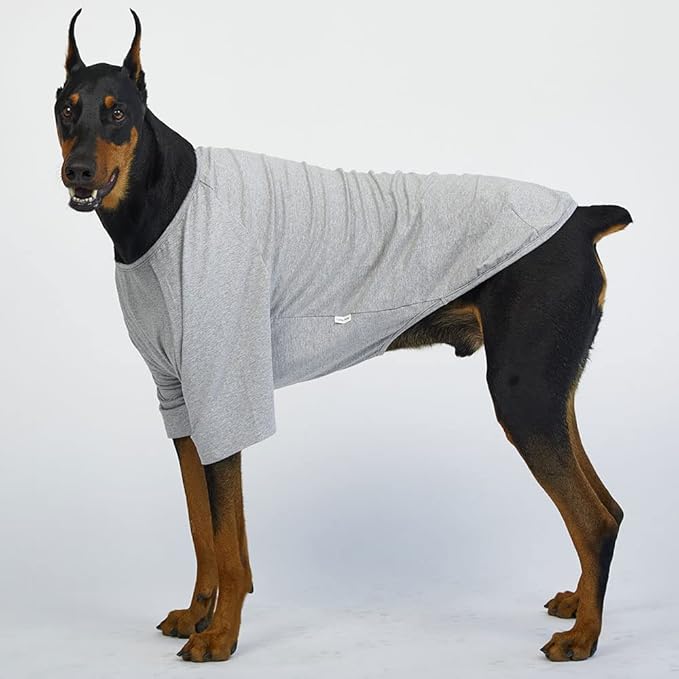 Dog Shirt for Small Dogs Plain T-Shirts Soft Breathable Dog Cotton Shirt pet Clothes (2X-Large, Gray)