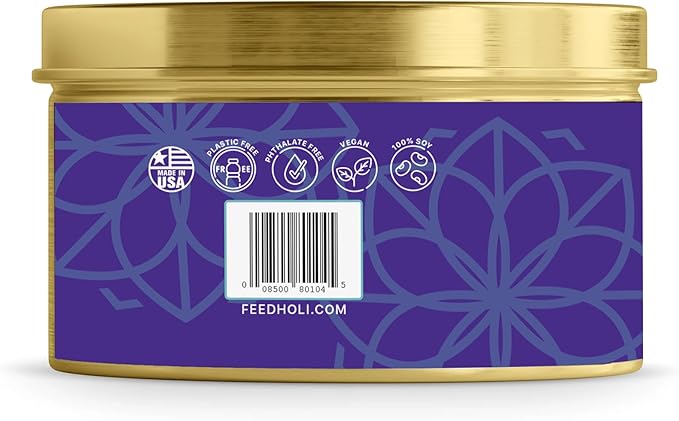 HOLI Pet Odor Eliminator Candle – Ocean Mist Scent – All Natural Soy Wax, Paraben & Phthalate Free, Pet Safe, Long-Lasting 30-Hour Burn, Non-Toxic & Plastic-Free Air Freshener for Home