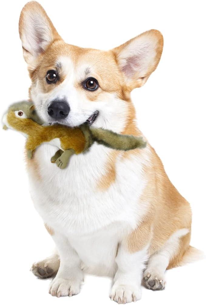 ALL FOR PAWS Squirrel Squeaky Doy Toy, Squirrel Dog Toy for Small Medium Breed, Puppy Fetch Toy with Squeaker, Plush Chew Dog Toy, 5.9 x 4.3 x 2.8 inches, Classic-Chipmunk S