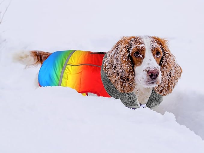 Dogcheer Warm Dog Coat, Waterproof Dog Winter Jacket Christmas Puppy Cold Weather Coats with Buckle, Reflective Adjustable Pet Snow Jacket for Small Medium Large Dogs - Gradient Red-Yellow, M