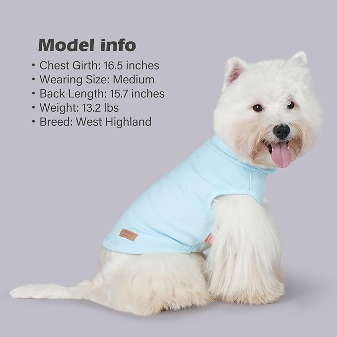 KYEESE 2Pack Dog Sweater Turtleneck Small Pets Sweaters Warm Pet Coats Soft Dachshund Clothes Pullover Pets Sweatshirt Dog Sweaters for Small Dogs Male Stretchy Dogs Clothes