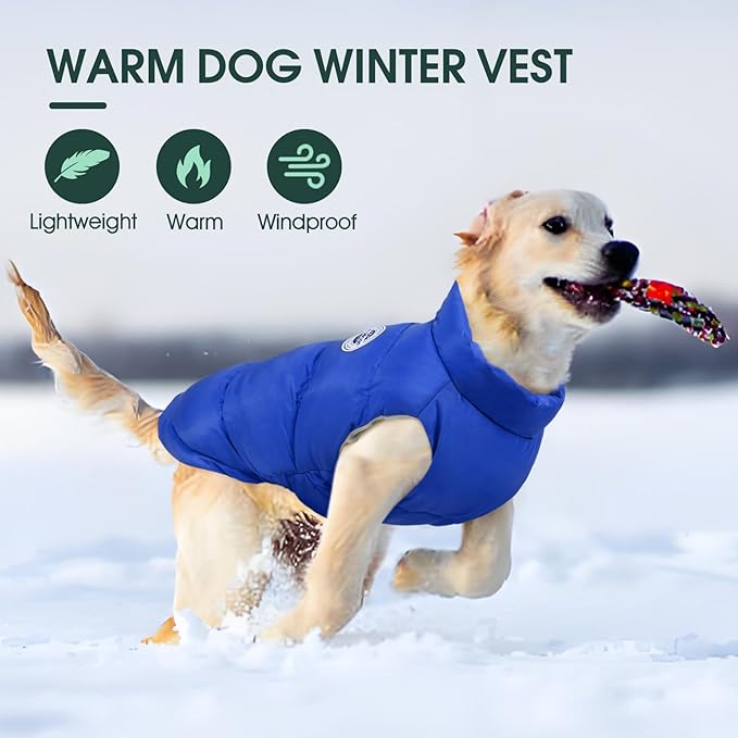 Kuoser Dog Coat Warm Dog Puffer Jacket, Windproof Dogs Padded Vest Lightweight Cold Weather Coats Pet Snowsuit Soft Puppy Winter Clothes for Large Dogs, Button Design, Easy On/Off, Blue XL