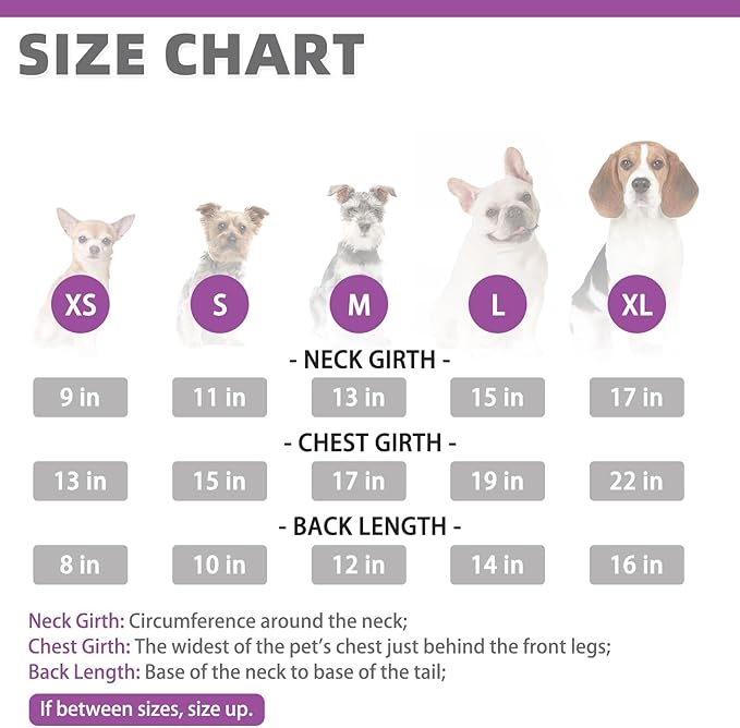 KOOLTAIL Small Dog Sweater - Dog Fleece Vest Jacket with Leash D-Ring for Small Medium Dogs, Soft Pullover Winter Warm Cold Weather Coats, Pet Fall Clothes Outfit for Puppy Cat Boys&Girls, Purple M