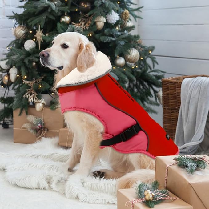 EMUST Dog Jacket Winter, Cozy Windproof Dog Jacket for Cold Weather, Solid Color Pet Vests for Winter for Medium Dogs, New Orange, M