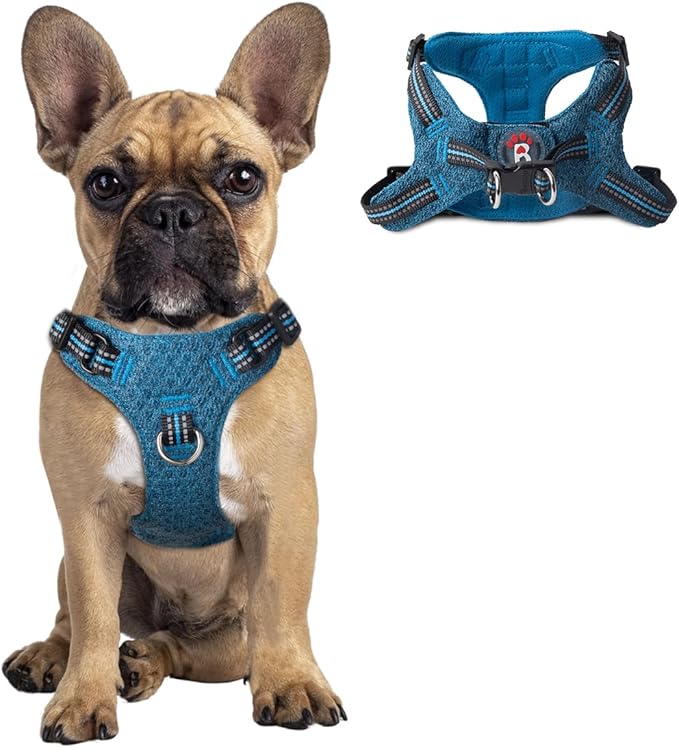 Dog Harness Step in Dog Vest Harness, Reflective Adjustable Puppy No Pull Harness Breathable Soft for Small and Medium Dogs Cats, Blue/Black, S