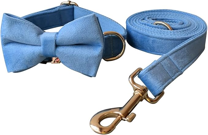 Dog Collar Custom Personalized Engraved Name and Phone Number for Puppy Small Medium Large Pets (S, Sky Blue)