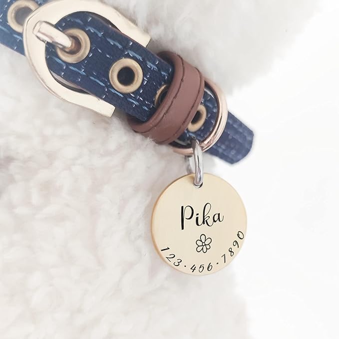HM001 Cats Dogs ID Tags Personalized Lovely Symbols Pets Collar Name Accessories Custom Engraved Supplies for Four Legged Child Necklace Chain Anti-Lost Metal Simple Charm (Shiny Brass, Small 0.94")