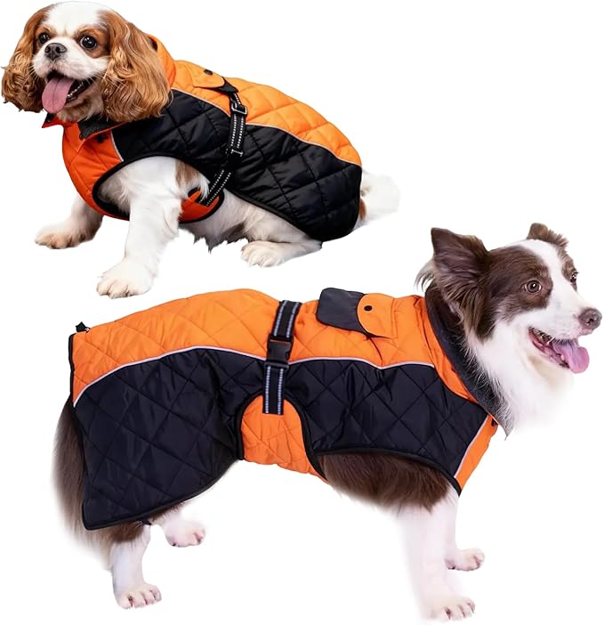 Dog Coat Dogs Winter Coat- Fleece Lined,Water-Resistant,Convertible Collar,Back Reflective Strip&Easy to Wear for Outdoor Walking Dog-Jacket(Orange, Large)