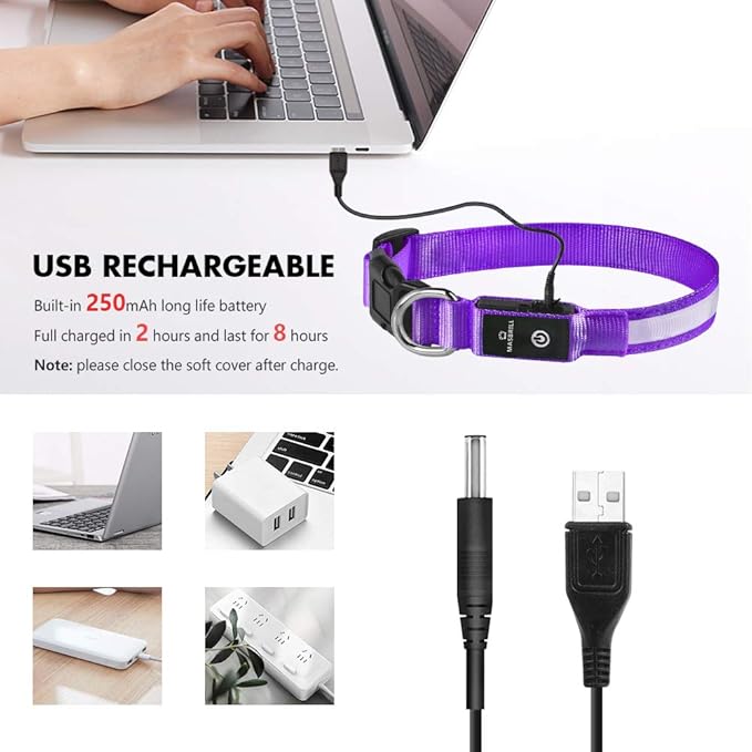 MASBRILL Light Up Dog Collar - LED Dog Collar Rechargeable Waterproof Night Walking Glow Collar for Dogs (M, Purple)