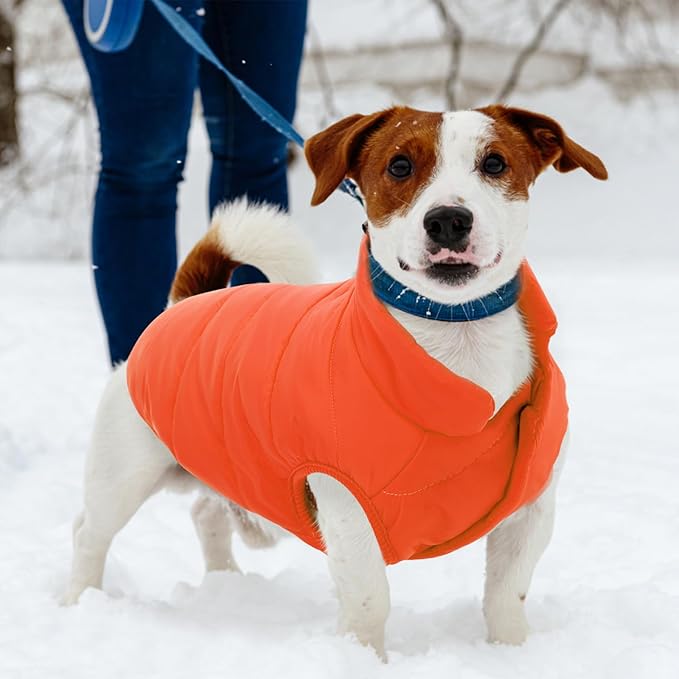ASENKU Dog Winter Coat - Waterproof Windproof Dog Jacket, Warm Snowproof Doggie Puffer Vest for Cold Weather, Lightweight Snow Coats for Small Medium Large Dogs (Orange, 2XL)