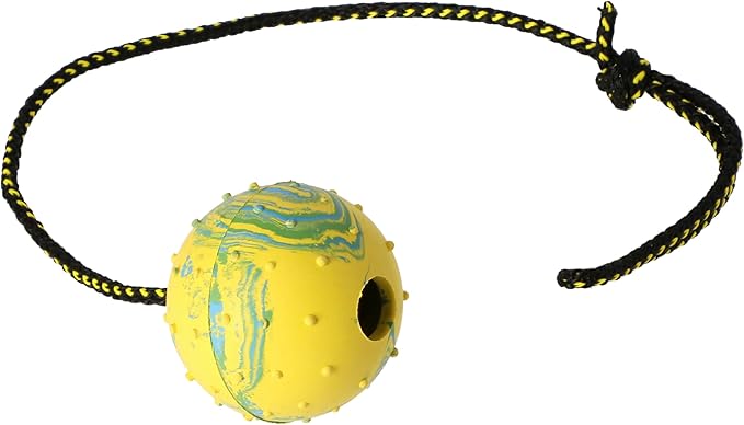 Dingo Fetch Ball Made of Hard Rubber with a String, Large, for Aport Game Dog Training 17298