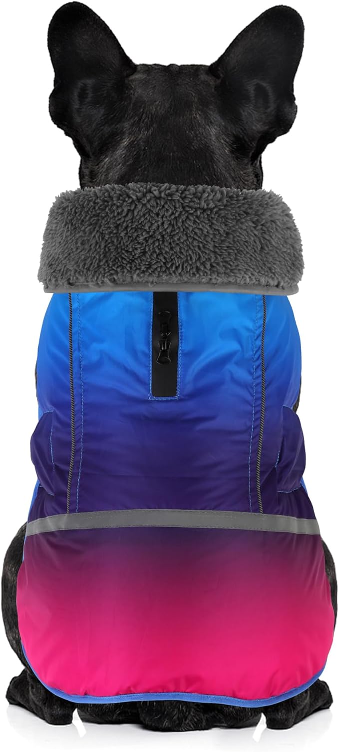 Dogcheer Warm Dog Coat, Waterproof Dog Winter Jacket Christmas Puppy Cold Weather Coats with Buckle, Reflective Adjustable Pet Snow Jacket for Small Medium Large Dogs - Gradient Blue-red, L