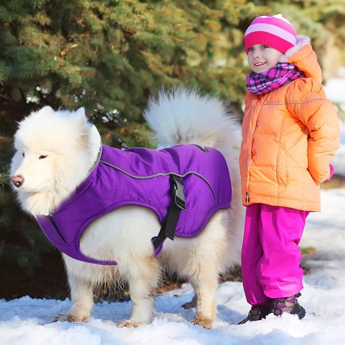 EMUST Dog Winter Coat, Thick Windproof Pet Jacket Winter, Pet Cold Weather Coats for Small/Medium/Large Dog, Purple, XXL