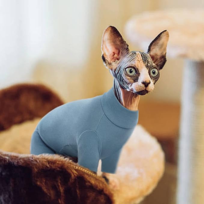 ROZKITCH Cat Jumper, Breathable Soft Jumpers for Sphynx Only, Coat with Four Legs, Warm Sweater T-Shirt Pajamas Jumpsuit Vest Cornish Rex, Devon Rex, Peterbald Blue 2XL