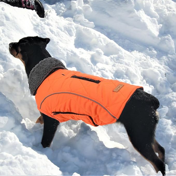 EMUST Winter Dog Coats, Fleece Dog Apparel for Cold Weather, British Style Windproof Warm, Orange, XS