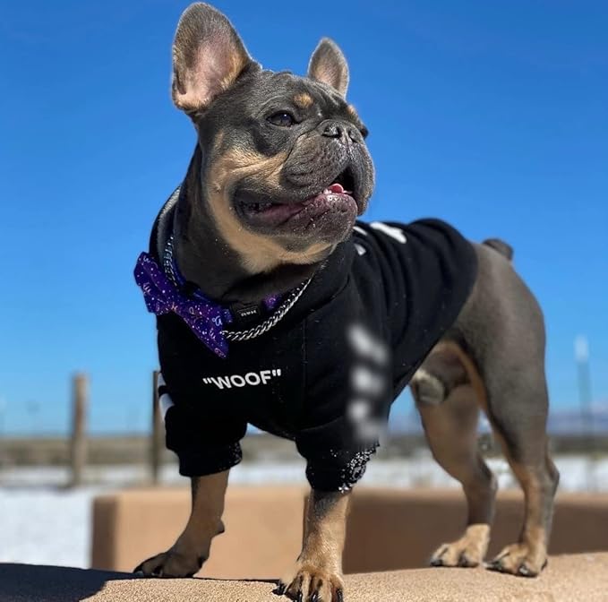 ChoChoCho Stylish Dog Hoodie Dog Clothes Streetwear Cotton Sweatshirt Fashion Outfit for Dogs Cats Puppy Small Medium Large (4XL, Black)