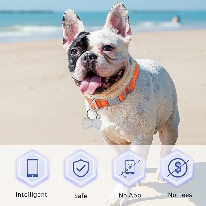 Dog Tags Personalized for Pets,Dog Name Tags QR Code,No Subscription Fees,Modifiable Pet Online Profile,Stainless Steel,No App Required,for Dogs and Cats Small,Medium,Large(Bow Tie,Small)