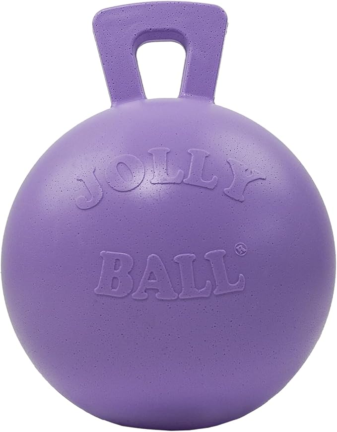 Jolly Pets Tug-n-Toss Heavy Duty Dog Toy Ball with Handle, 10 Inches/X-Large, Light Purple