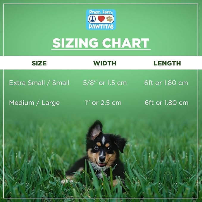 Pawtitas 6 FT Pet Puppy Leash Reflective Dog Leash Comfortable Handle Highly Reflective Threads Heavy Duty Dog Training Leash Available as a 6 ft Medium Dog Leash or Large Dog Leash Green