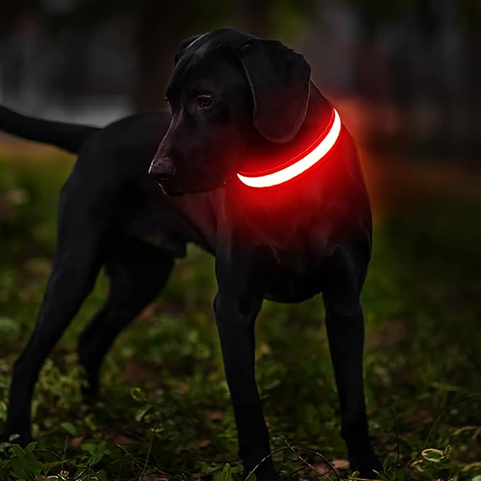 MASBRILL LED Dog Collar,Light Up Dog Collars Rechargeable Waterproof Night Walking Glow Dog Collar for Small Medium Large Dogs