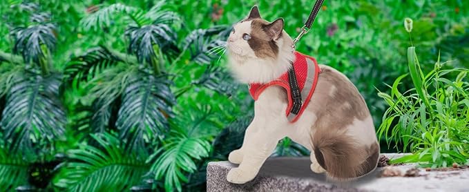 Cat Harness and Leash for Walking, Kitten Escape Proof Harnesses, Adjustable Reflective Puppy Harness with Leashes Set, Easy Adjustable Soft net Breathable Pet Safety Vest